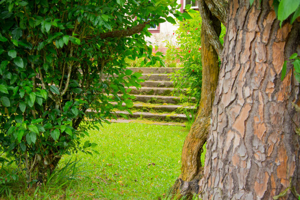自然风景图片下载