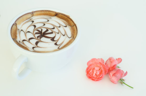 白色背景上的拉花和玫瑰图片下载