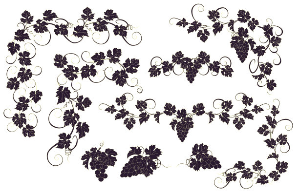 矢量设计元素在复古风格与藤蔓。素材图片