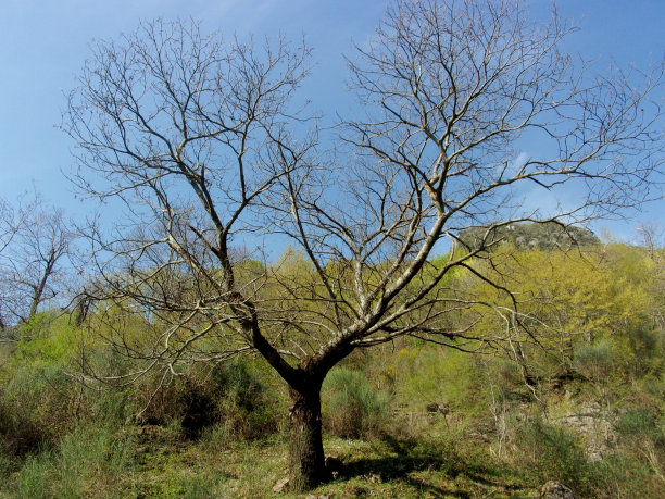 山地景观图片下载