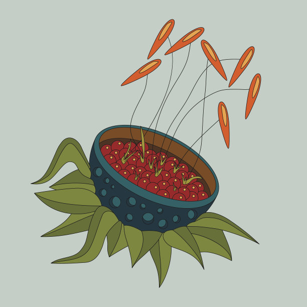 花与有趣的明亮的雄蕊和浆果图片下载