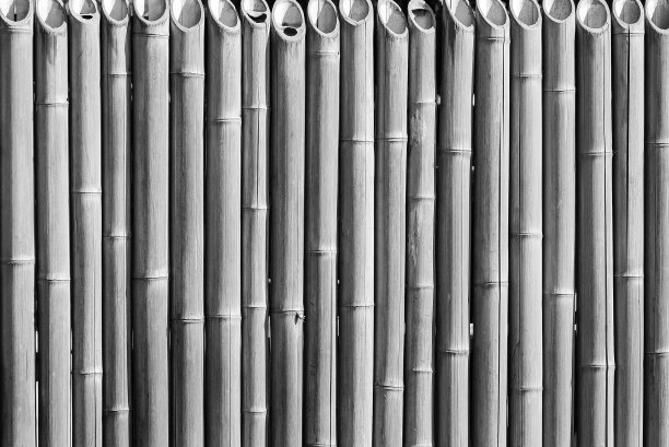 栅栏由竹制成单色色调图片下载