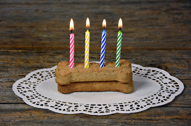 狗骨生日蜡烛图片下载