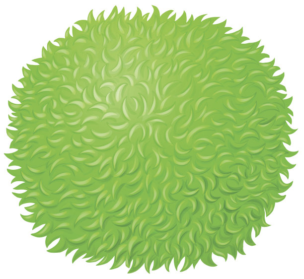 绿色毛茸茸的球，白色的图片下载