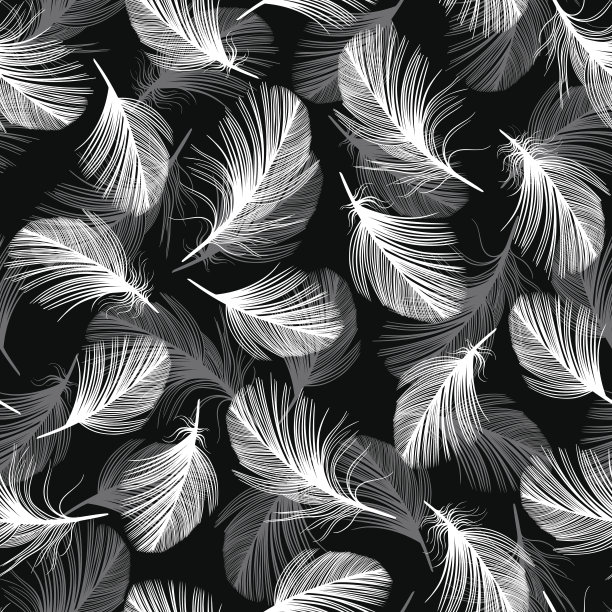 无缝图案与手绘羽毛。图片下载