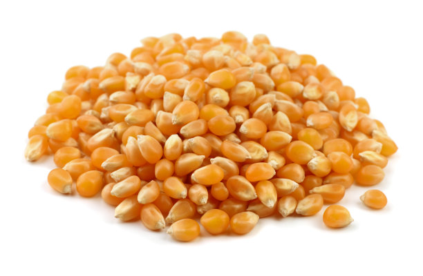 干燥的爆米花图片下载