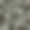 无缝橄榄束布图片下载