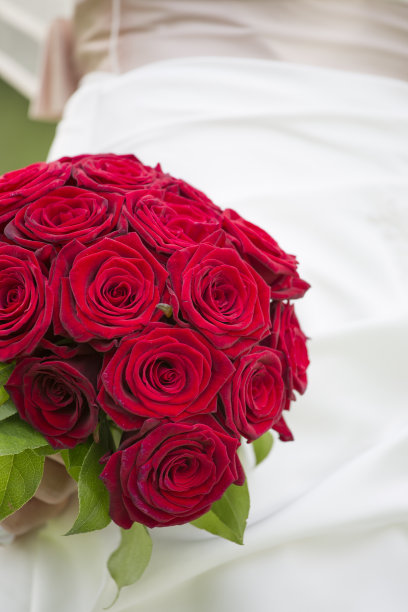 布劳特斯特劳斯图片下载