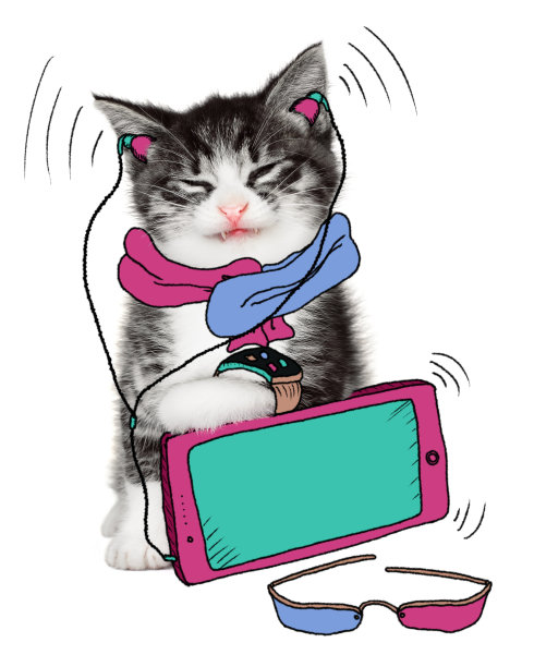 有趣的猫喜欢他的小玩意图片下载