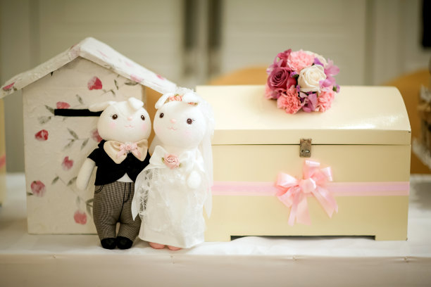 新婚夫妇玩偶在前台图片下载