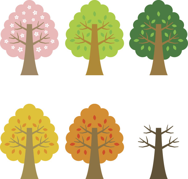 季节的树图片下载