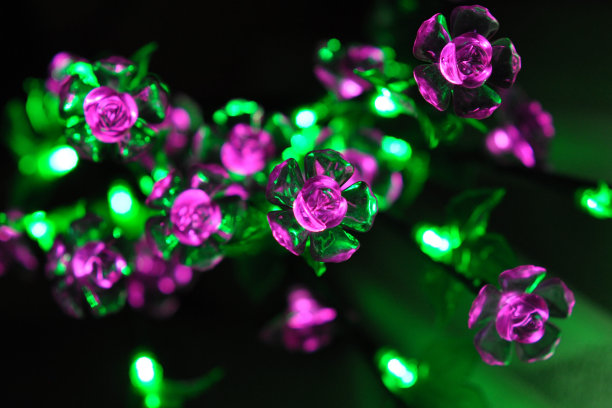 发光的花朵图片下载