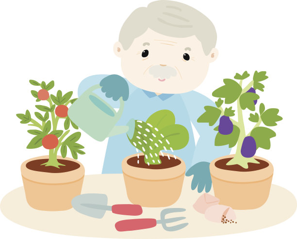 快乐的爷爷浇灌生菜向量图片下载
