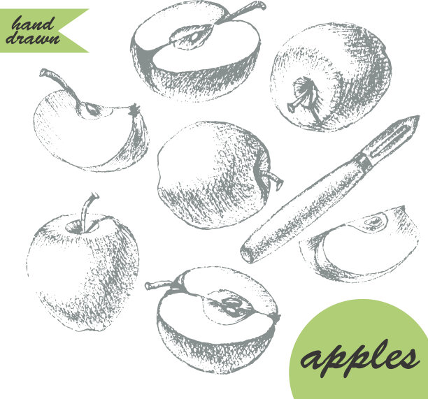 手绘苹果，一半，切片和削皮素描图片下载