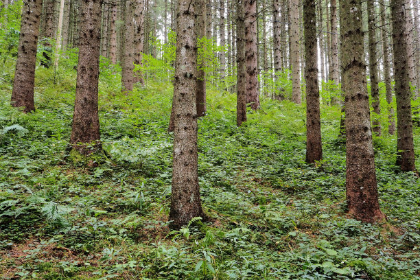 陡峭的坡度图片下载