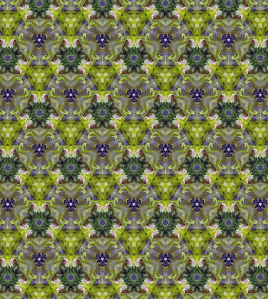 万花筒图片下载