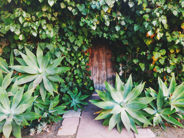 秘密花园暗门图片下载