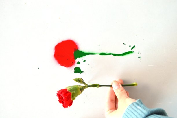 画的茉莉花。图片下载