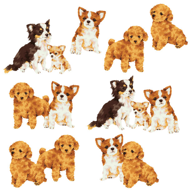 狗插图图片下载