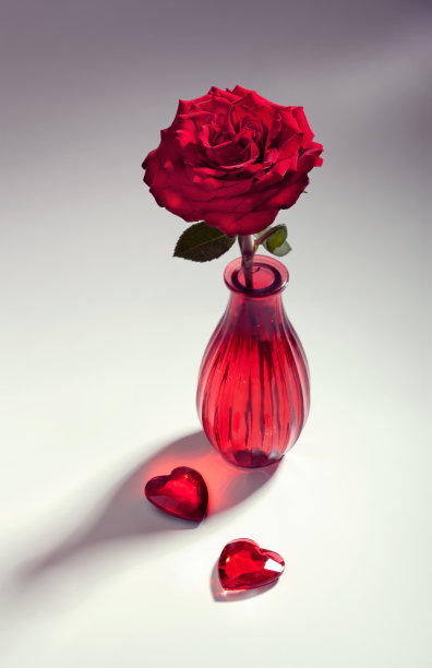 红玫瑰有两颗心，色调的形象图片下载