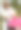 护工护士为一位老年妇女提供陪伴。图片下载