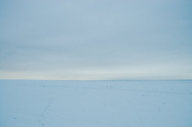 的字段图片下载