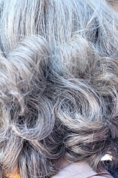 老年人背部的白发。图片下载