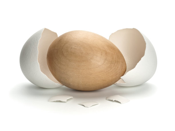 带天然壳的木蛋图片下载