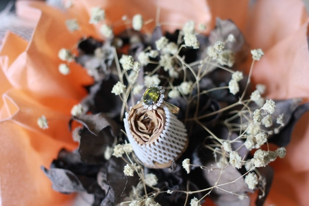 “美好的回忆”图片下载