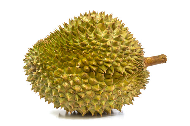 榴莲图片下载