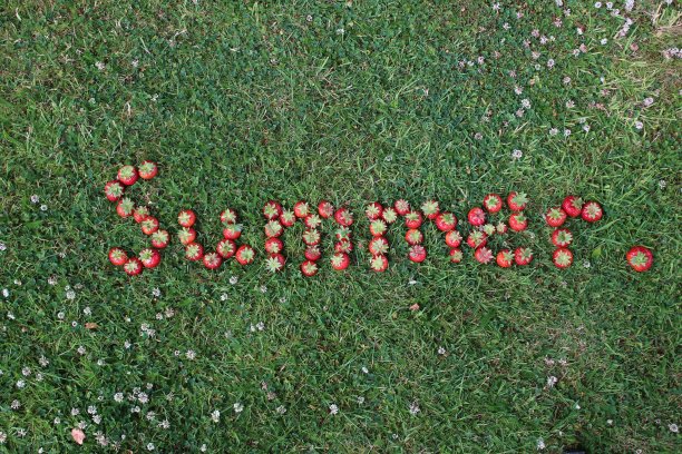 草莓里的夏天图片下载