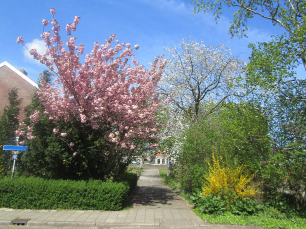 春天的颜色图片下载