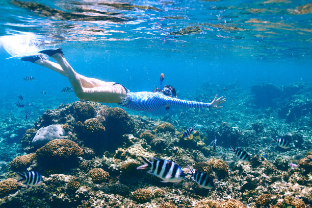 潜水照片素材ID：128482012