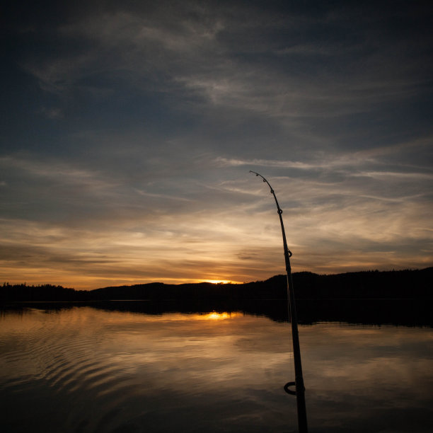 在日落钓鱼图片下载