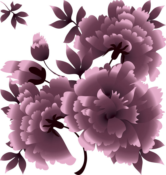 装饰牡丹花矢量插图图片下载
