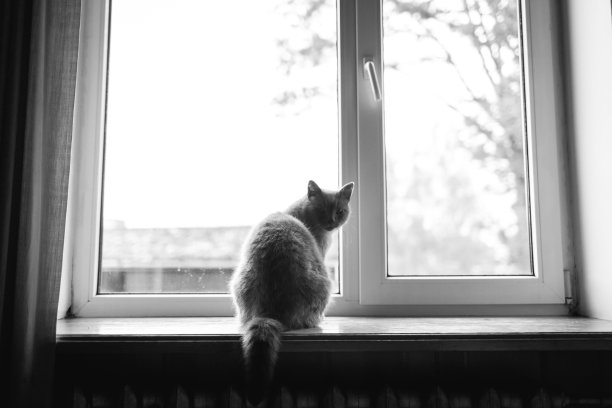 家庭的一部分。图片下载