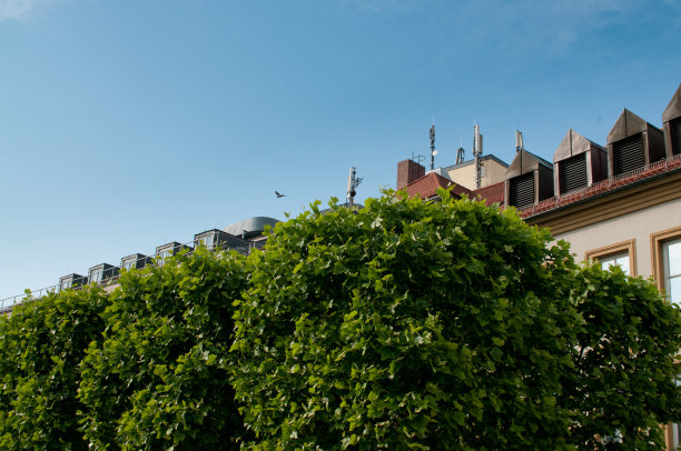 城市建筑图片下载