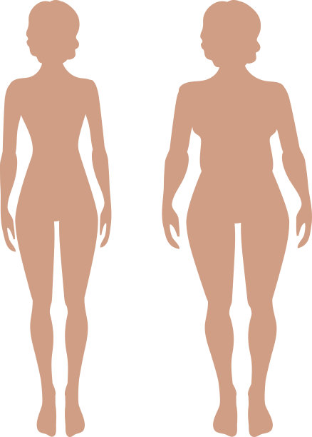 苗条丰满的女性形象图片下载