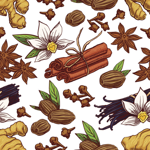 无缝的手绘香料图片下载