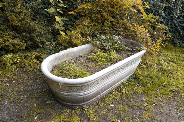 被植物覆盖的古董大理石浴缸图片下载