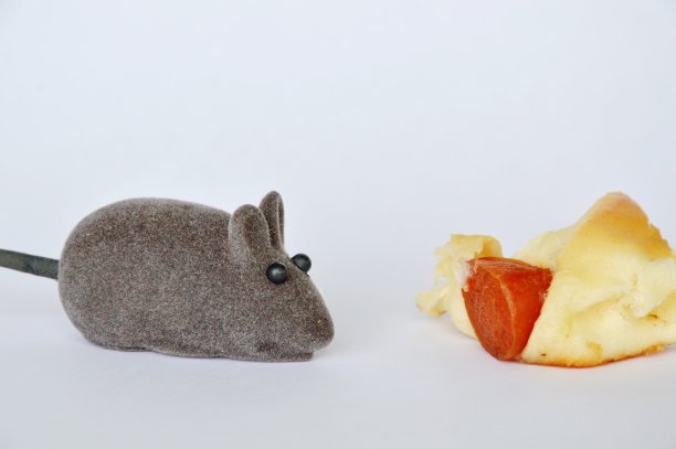 白色背景上的老鼠玩具和香肠面包图片下载