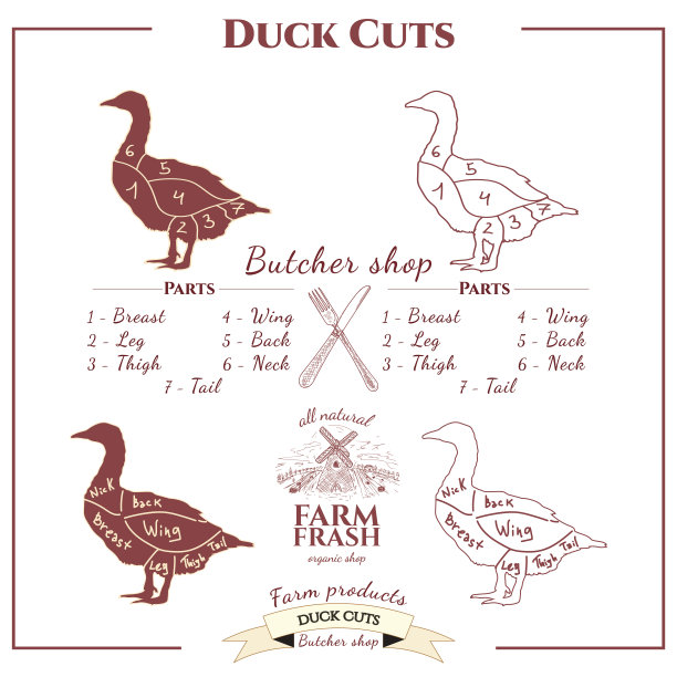 鸭削减图片下载