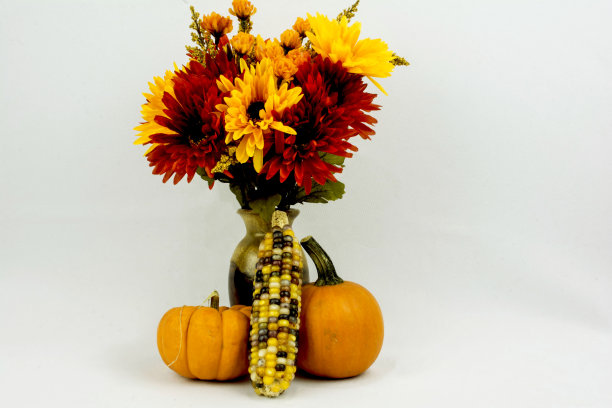 显示的秋天图片下载