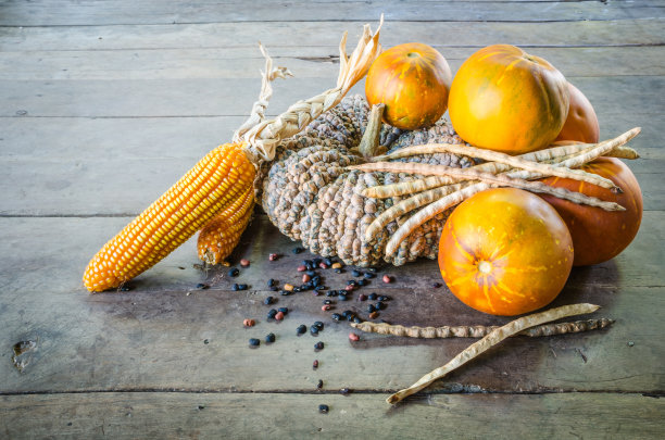 南瓜和甜瓜图片下载