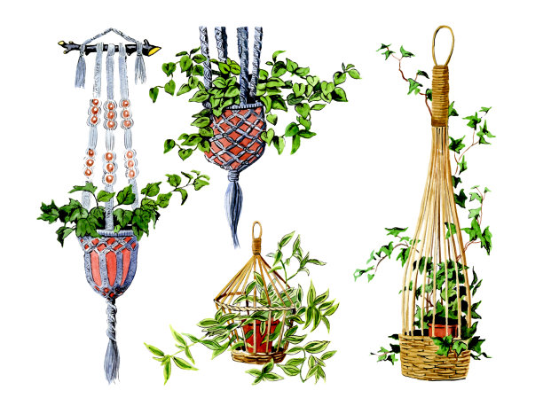 篮子越来越多。植物学图片下载