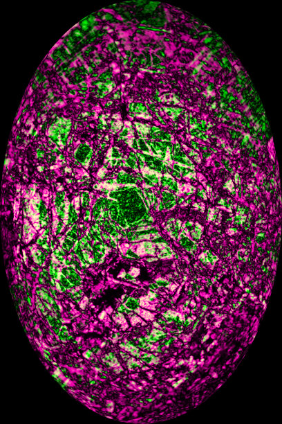 彩色的，抽象的蛋从偏光显微镜矿物。图片下载