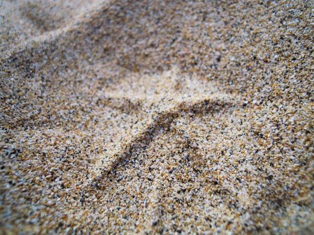 沙滩上的星星图片下载