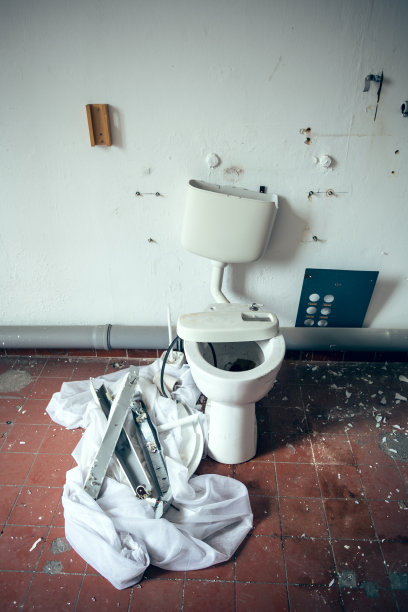 摧毁了厕所图片下载