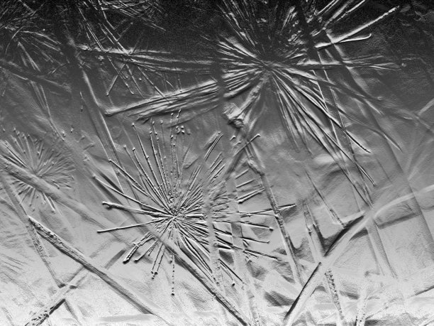 浅浮雕的水生植物背景图片下载