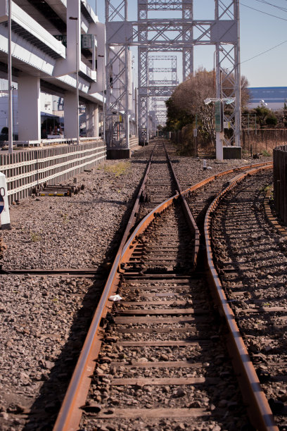 线(分枝点)图片下载